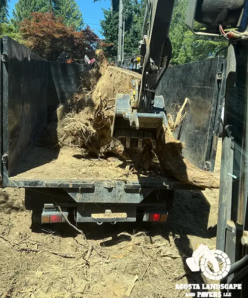 Backyard Paver & Lighting Project